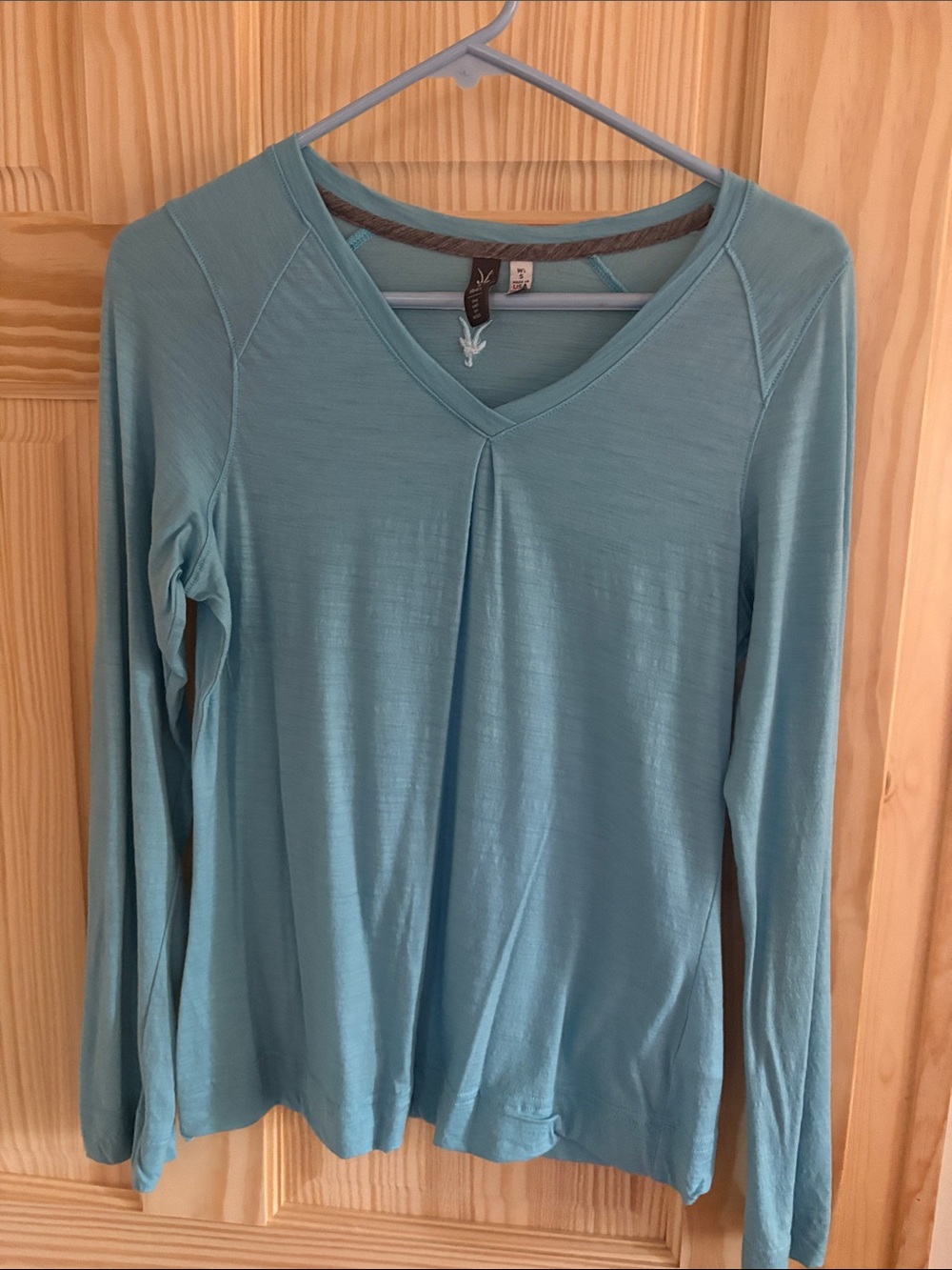 ibex Light Teal V-Neck Long Sleeve Top with Front Pleat
